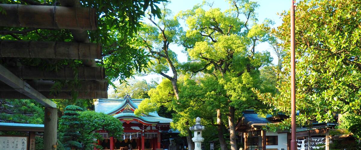 A traditional Japanese temple with a stone pathway leading to the entrance, surrounded by lush greenery and a clear blue sky.