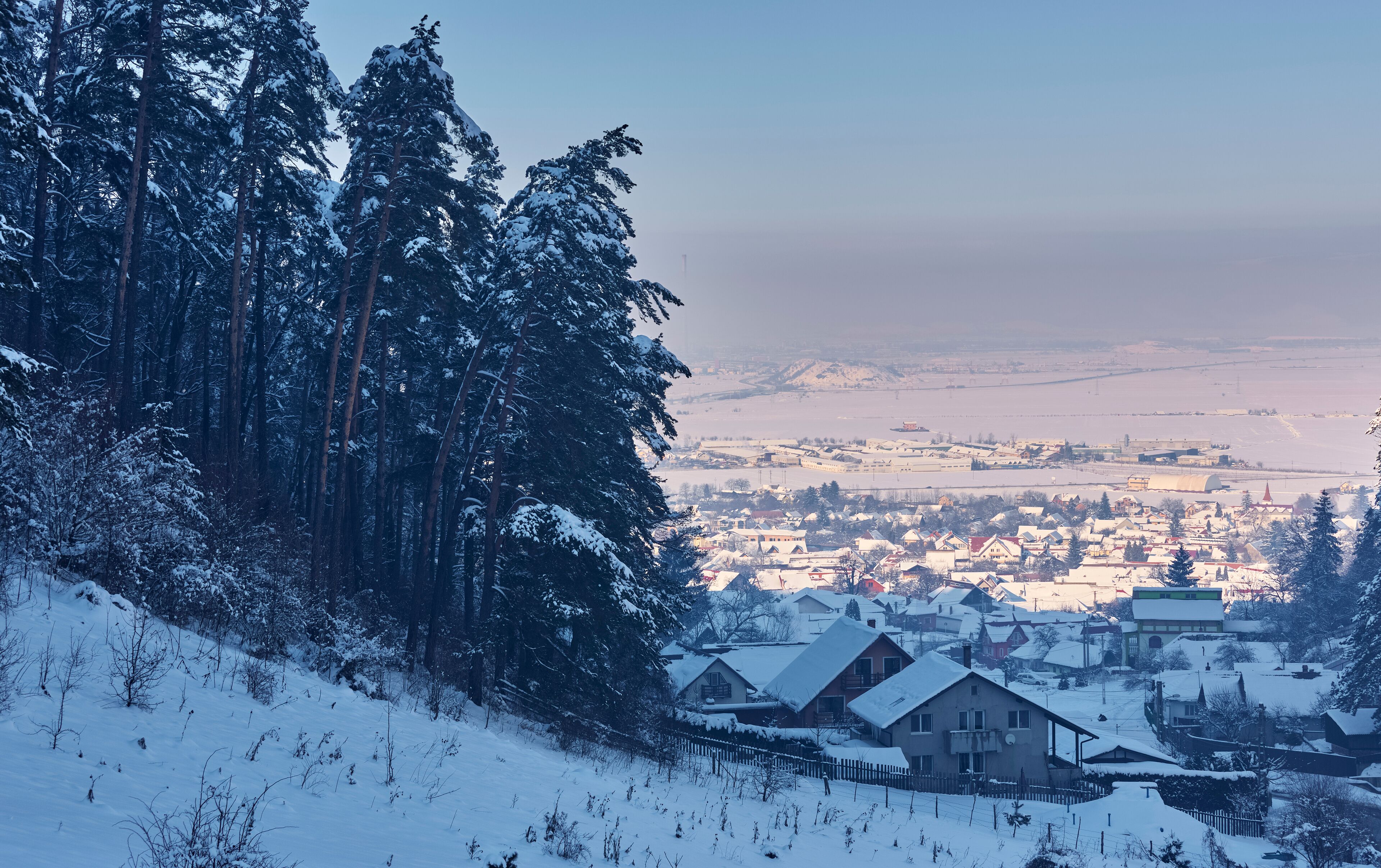 Winter landscape, snowy fir tree forest and idyllic village at the base of Piatra Mare mountain, Brasov county, Romania.
