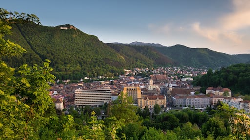 Panoramic shot of the Sacele skyline in the morning in Romania