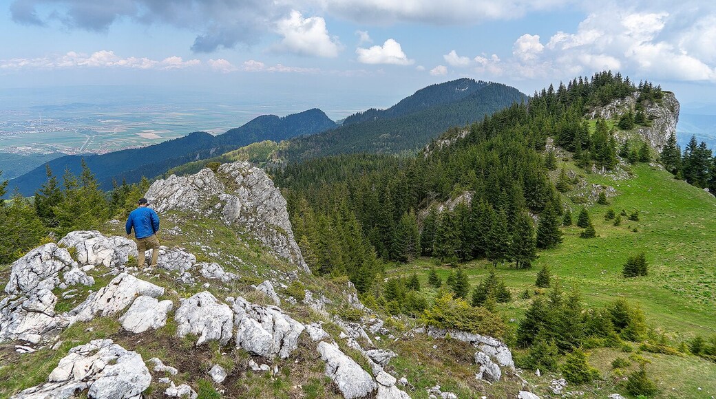 A little hike on the Carpathian Mountains near Brasov, Romnia. Everyone going to Brasove should do this hike!
👉 https://www.alwayswanderlust.com/seven-ladders-canyon/