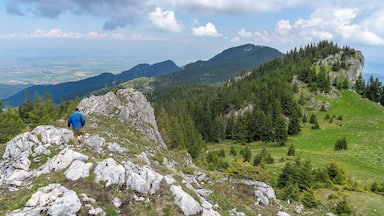 A little hike on the Carpathian Mountains near Brasov, Romnia. Everyone going to Brasove should do this hike!
👉 https://www.alwayswanderlust.com/seven-ladders-canyon/
