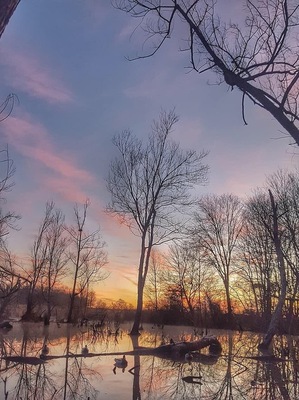 This is sunrise while duck hunting.
#AdventurePhotoContest