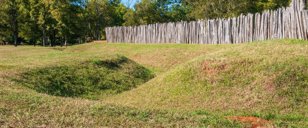 A grassy field with a wooden fence and trees in the background.