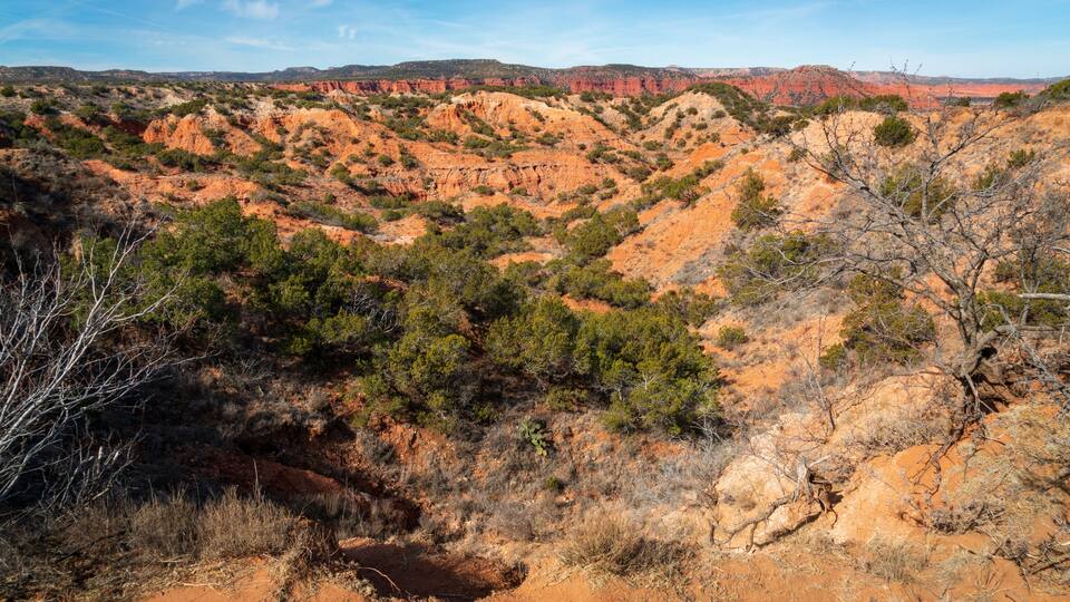 A rugged desert landscape with reddish rock formations and sparse green vegetation.
