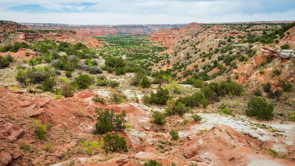 A rugged canyon landscape with sparse vegetation and red rock formations.
