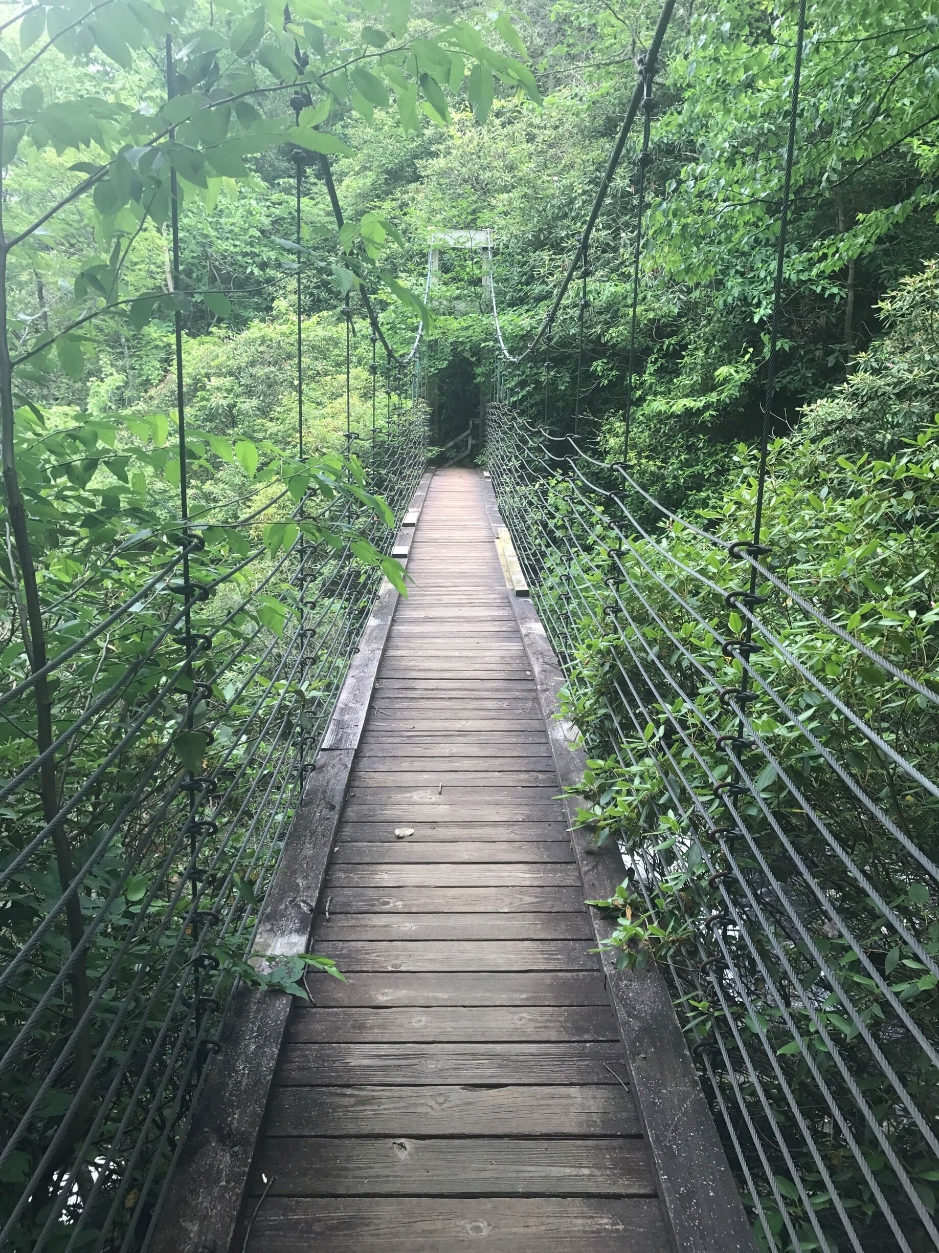 Swinging Bridge over Raven Cliff Falls at Caesar's Head State Park, North Carolina