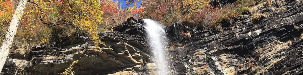 Ein Wasserfall stürzt über eine felsige Klippe, umgeben von Bäumen in Herbstfarben.