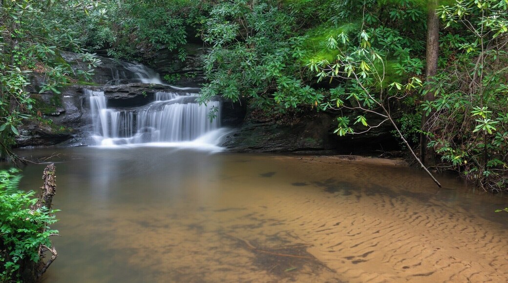 A hidden gem in the upstate of South Carolina that not a lot of people know about. This beauty is just 100ft from the road but the trail to the falls is unmarked. For a video guide of how to reach this waterfall (and Sweet Thing on Slickum), please visit: https://www.hdcarolina.com/episode/last-falls-on-slickum-and-sweet-thing-on-slickum