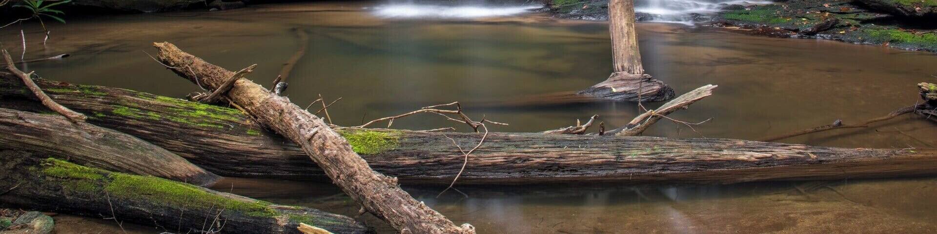 An epic sight to see. Two creeks that form together via waterfalls deep inside a South Carolina forest. Absolutely beautiful! To view a video guide of how to reach this spot, please visit: https://www.hdcarolina.com/episode/confusion-falls