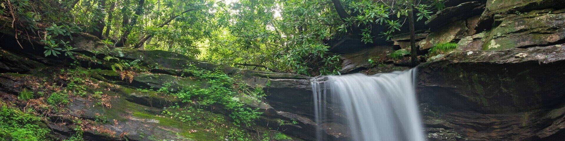 Just upstream from Last Falls on Slickum. It is a little more difficult to reach as the trail is somewhat undeveloped but it is only 1/10 of a mile from the road. For a video guide of the hike to Sweet Thing on Slickum, please visit: https://www.hdcarolina.com/episode/last-falls-on-slickum-and-sweet-thing-on-slickum