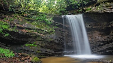 Just upstream from Last Falls on Slickum. It is a little more difficult to reach as the trail is somewhat undeveloped but it is only 1/10 of a mile from the road. For a video guide of the hike to Sweet Thing on Slickum, please visit: https://www.hdcarolina.com/episode/last-falls-on-slickum-and-sweet-thing-on-slickum