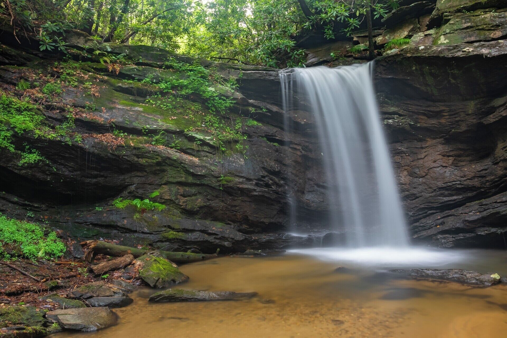 A waterfall cascading down a rocky cliff surrounded by lush greenery.