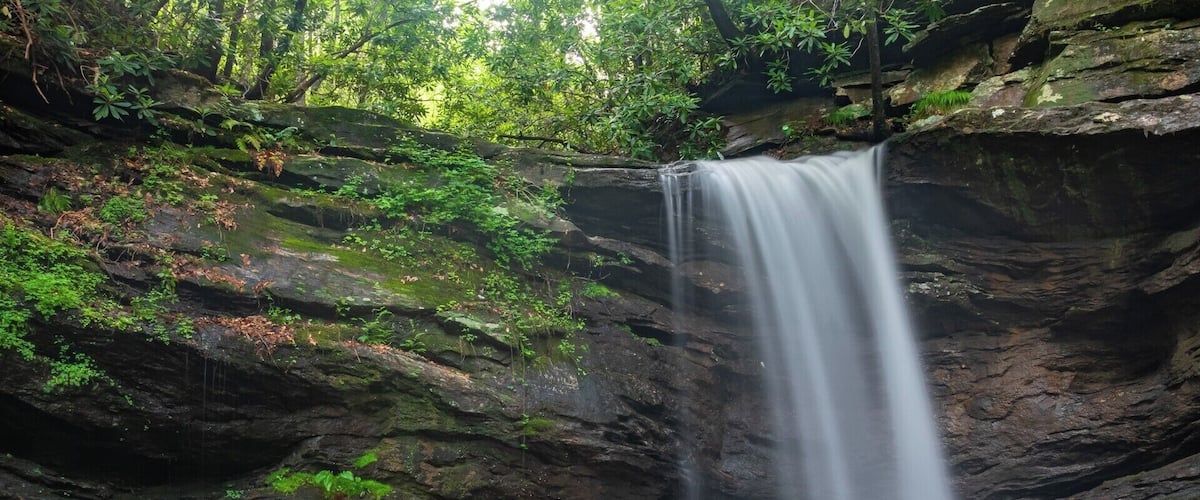 A waterfall cascading down a rocky cliff surrounded by lush greenery.