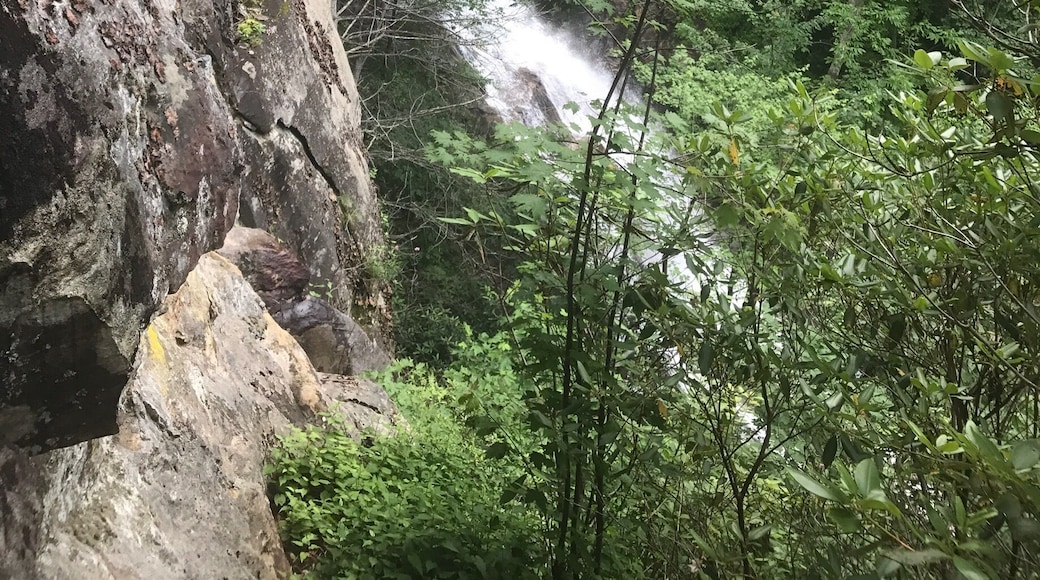 Raven Cliff Falls