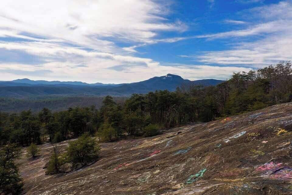 A forested hillside with colorful graffiti, a mountain range in the background, and a partly cloudy sky.