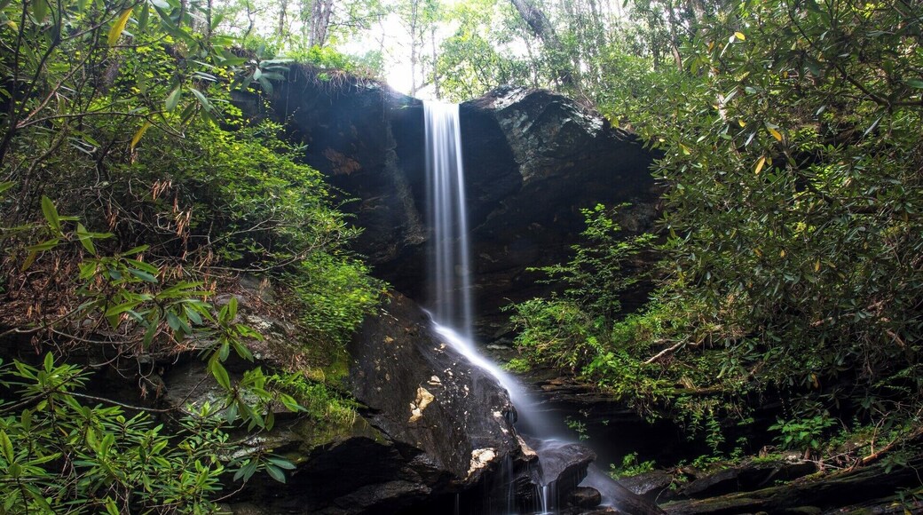 An epic spot in the forest with an interesting history. Check our a video guide of this destination here: https://www.hdcarolina.com/episode/moonshine-falls