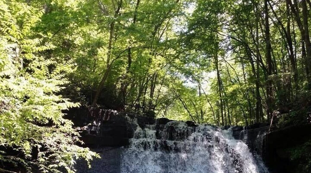 Little Stony Falls. So beautiful!