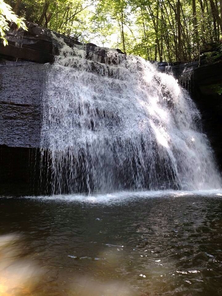 A waterfall cascading over a rocky ledge surrounded by trees.