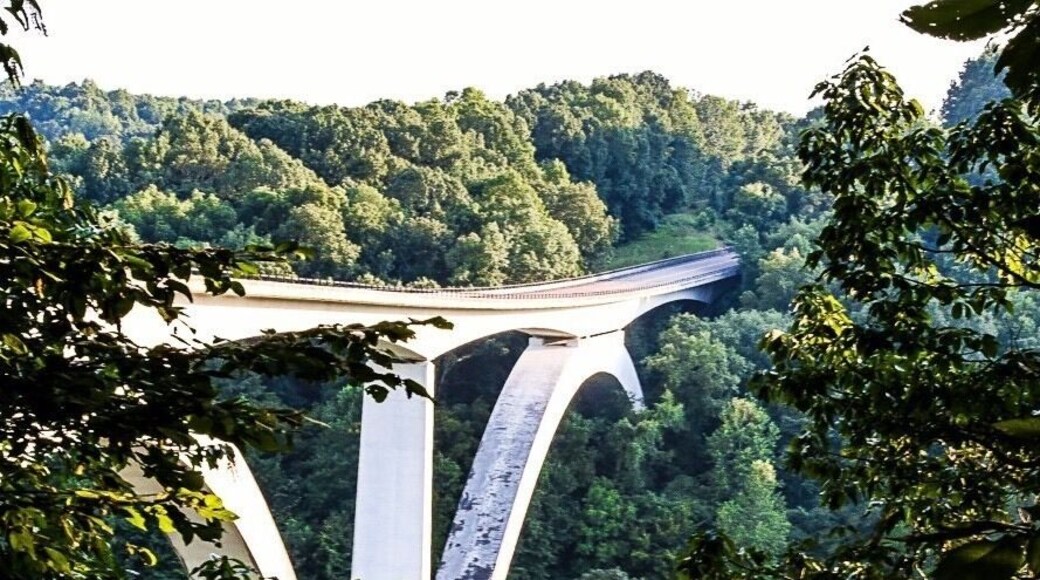 Every angle of this bridge is breaktaking