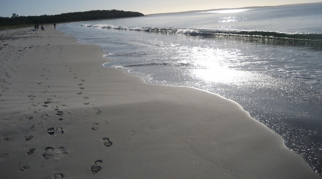 Early morning walking on Callala Beach