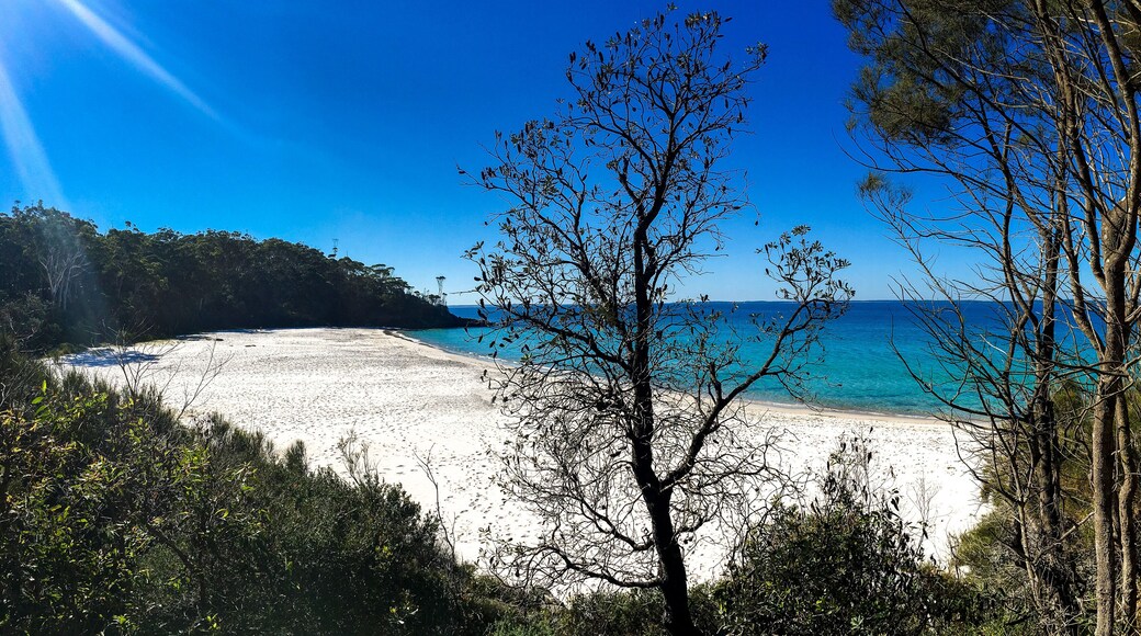 Jervis Bay Australia. White sand New South Wales