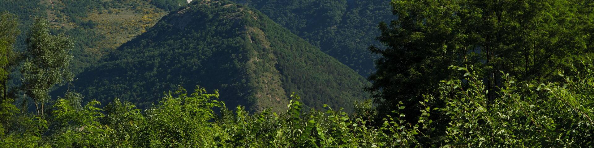 Cantiano, Province of Pesaro and Urbino, Italy