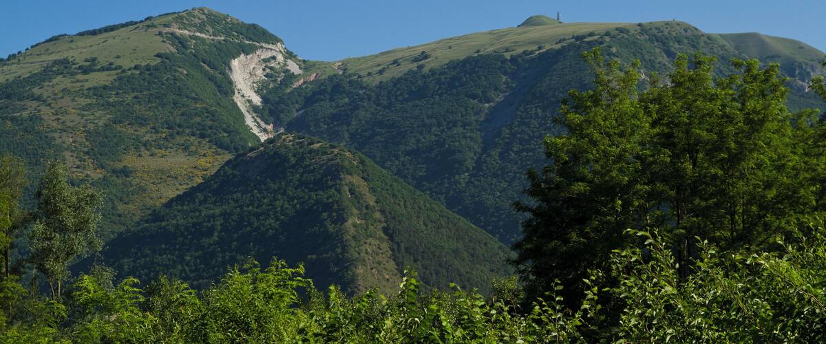 A mountain landscape with a visible trail and dense forest.