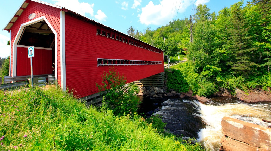 Saint-Mathieu-du-Parc