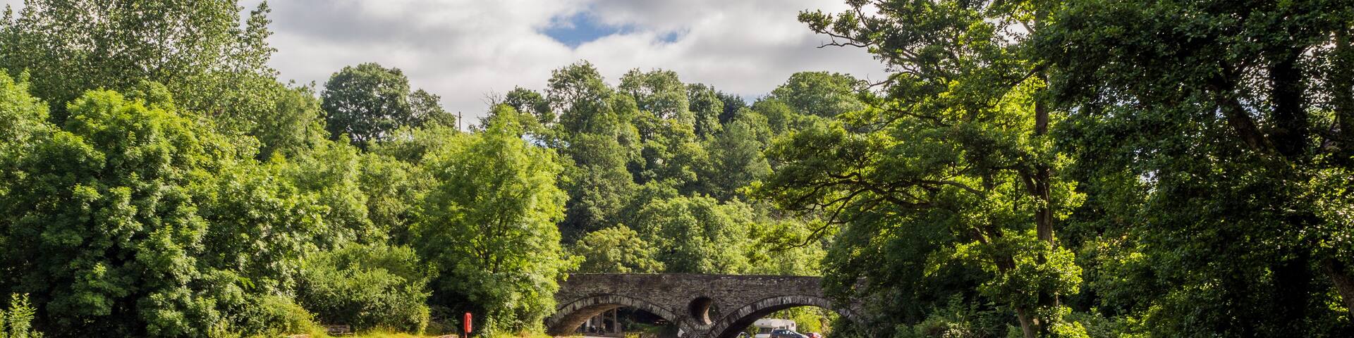 River teifi at Cenarth, Pembrokeshire. Wales, UK
