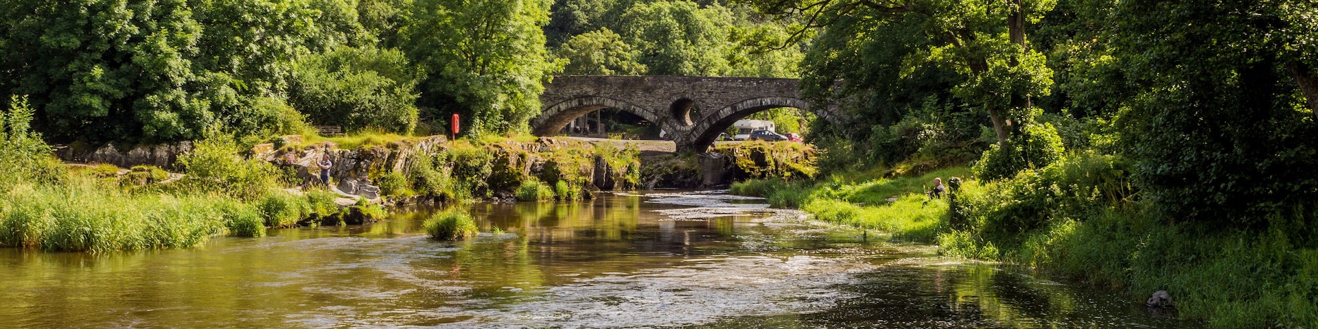 River teifi at Cenarth, Pembrokeshire. Wales, UK
