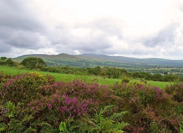Field bank near Castellan