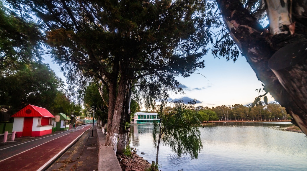 Blue hour in a park with a lake surrounded by forest, La Encantada Park in Zacatecas