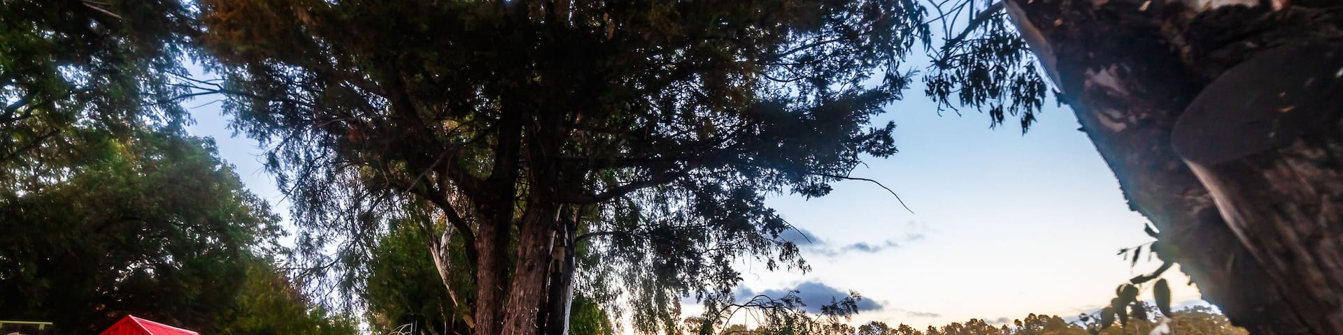 Blue hour in a park with a lake surrounded by forest, La Encantada Park in Zacatecas