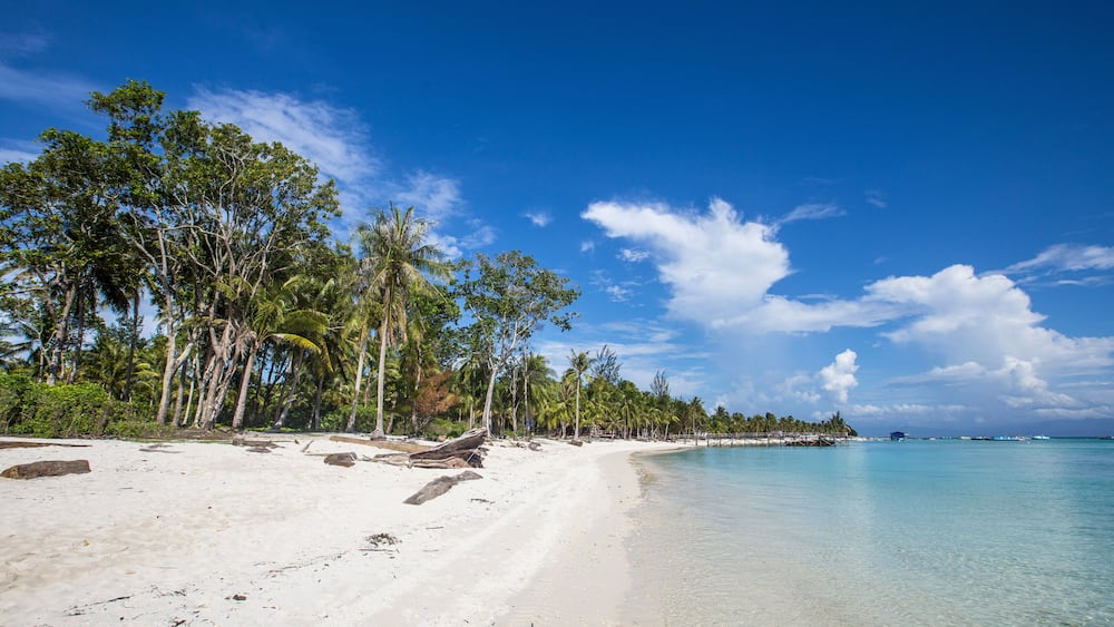 A tropical beach with clear turquoise water, white sand, and palm trees.