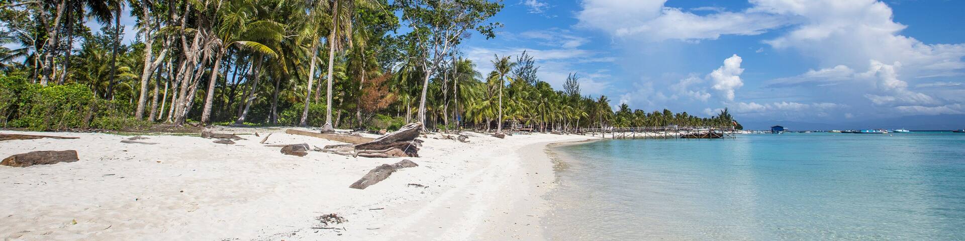 A tropical beach with clear turquoise water, white sand, and palm trees.