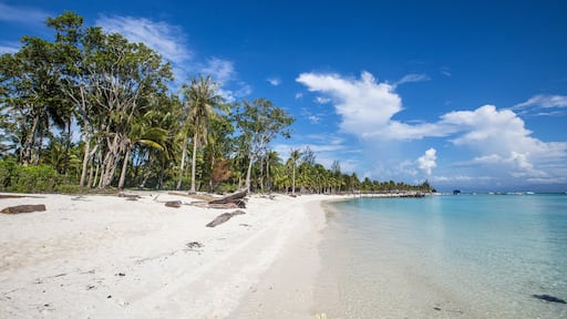 The beautiful beaches with white sand and its palm trees on Mantanani Island. Malaysia
