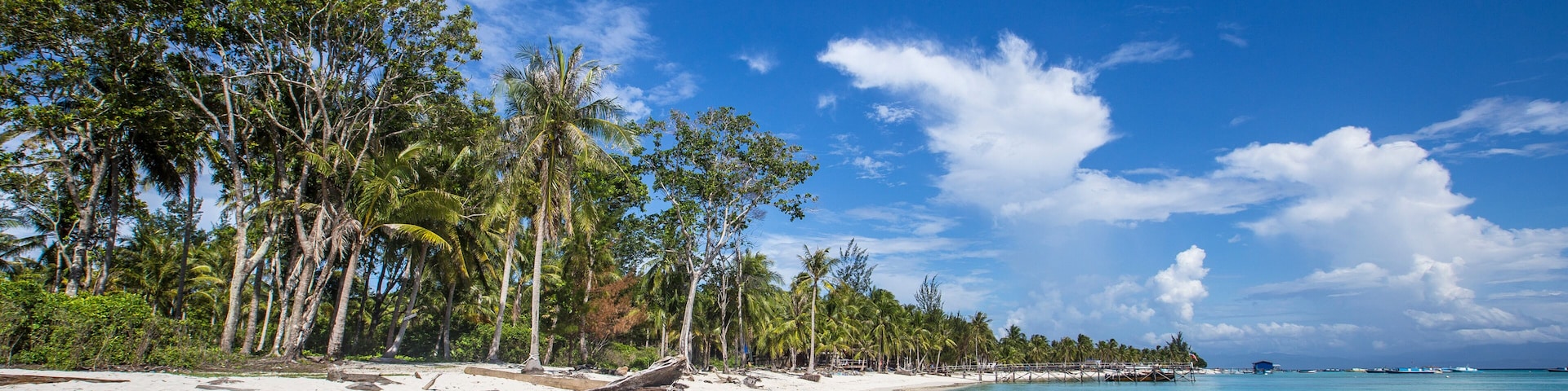 A tropical beach with clear turquoise water, white sand, and palm trees.