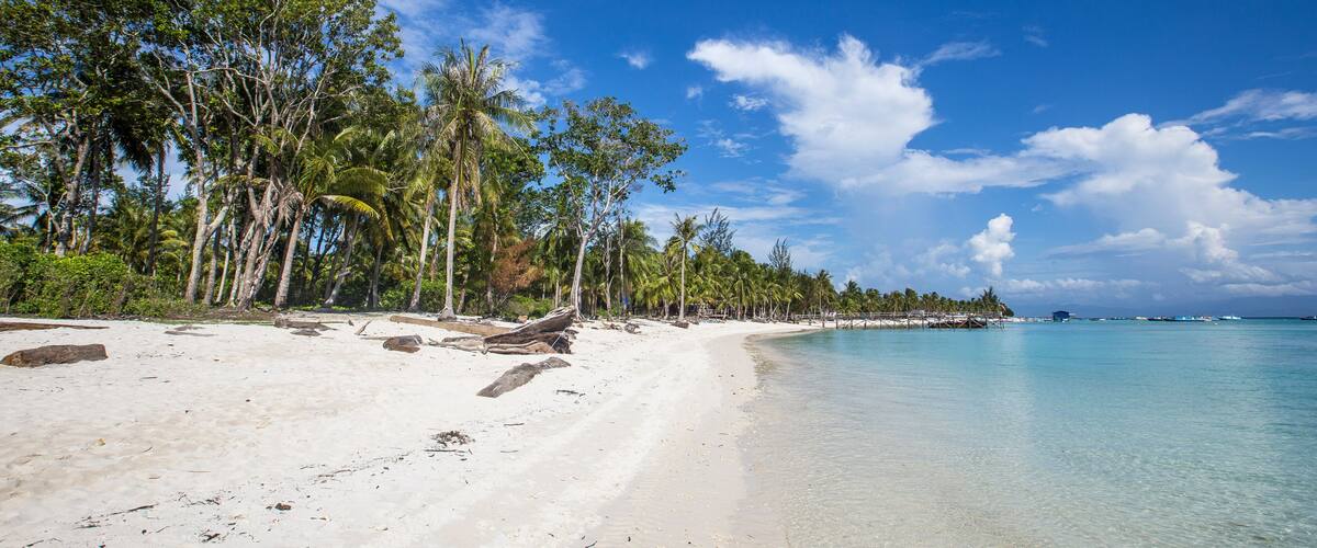 A tropical beach with clear turquoise water, white sand, and palm trees.