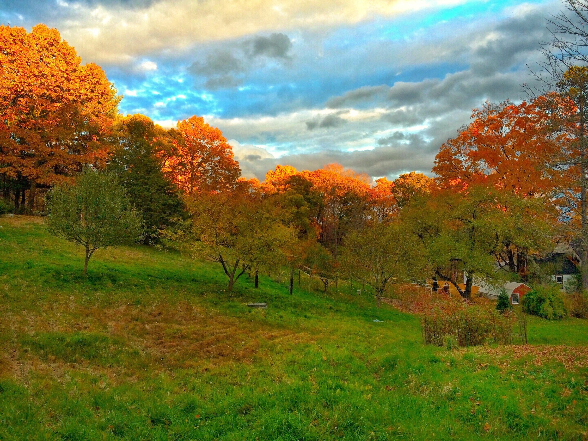 Sunset in the New England autumn. Edited photo with Snapseed to reduce the evening shadows. #GoldenHour