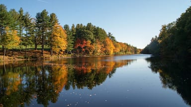 A calm river reflecting autumn trees.