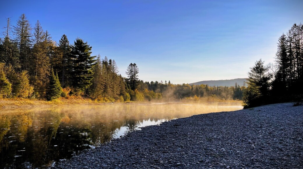 Foggy tree reflection in river of sunny blue-skied Northern Ontario