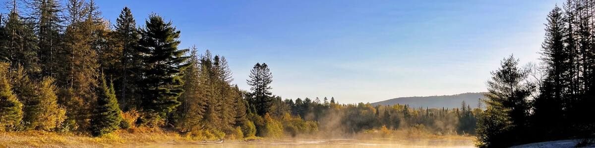 Foggy tree reflection in river of sunny blue-skied Northern Ontario