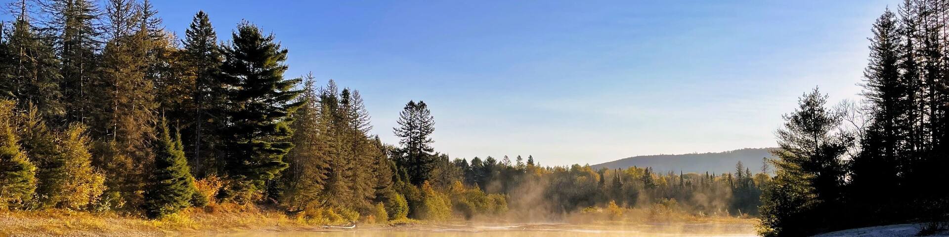Foggy tree reflection in river of sunny blue-skied Northern Ontario