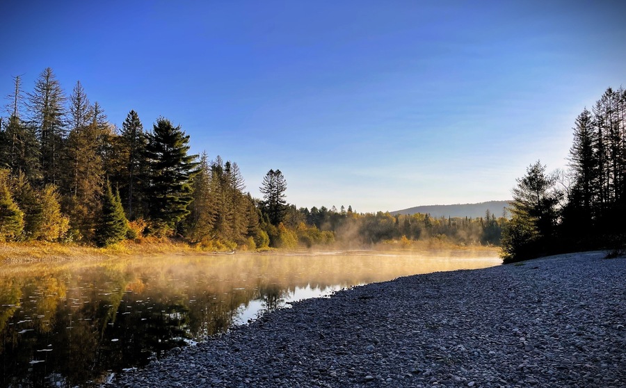 Foggy tree reflection in river of sunny blue-skied Northern Ontario