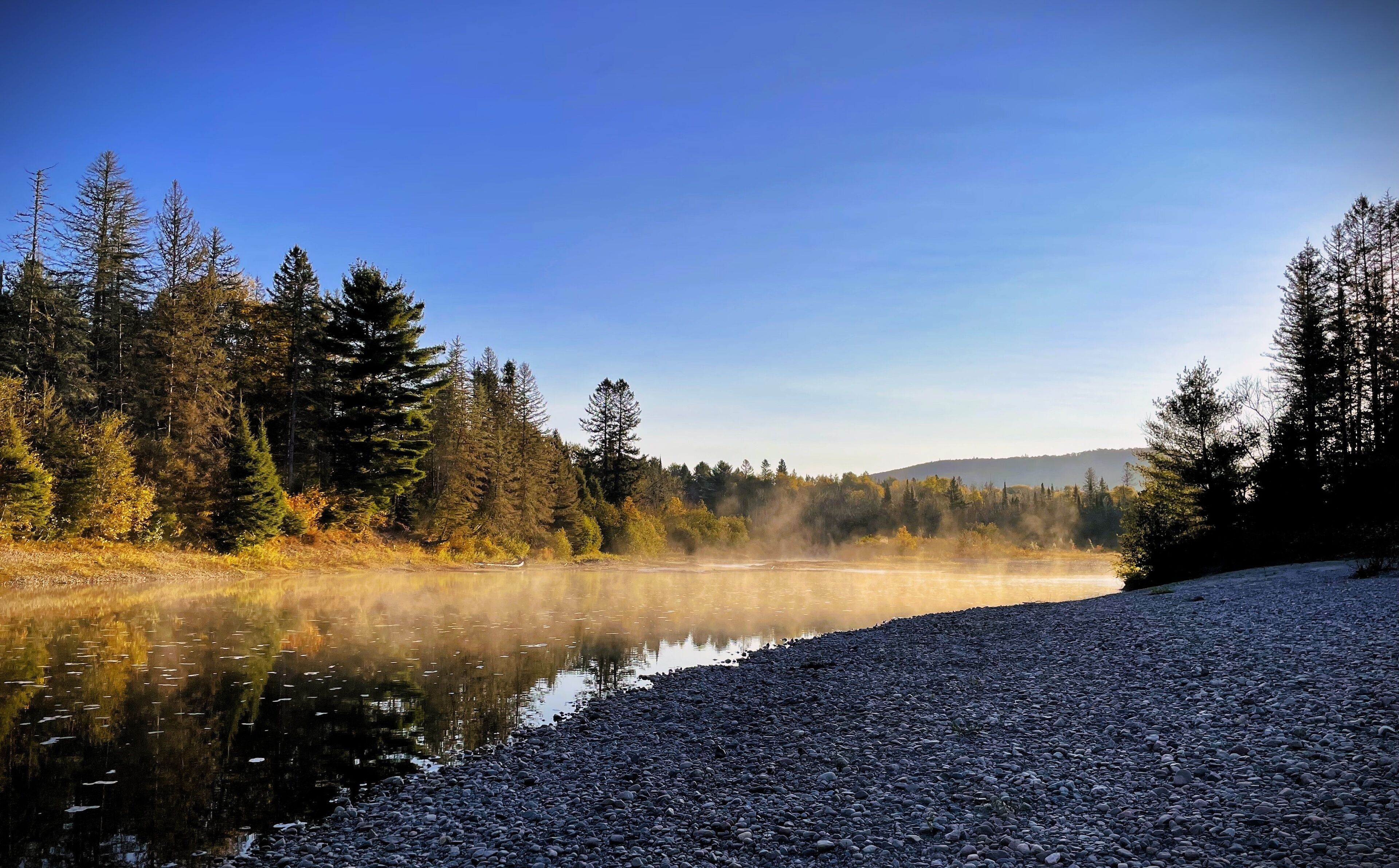 A calm lake surrounded by dense forest and a rocky shoreline.