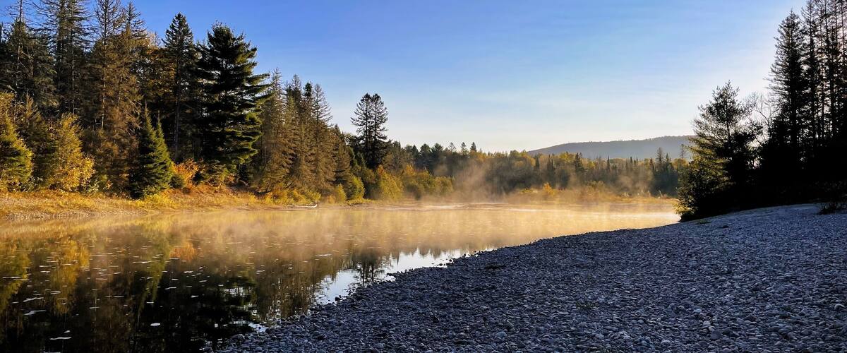 A calm lake surrounded by dense forest and a rocky shoreline.
