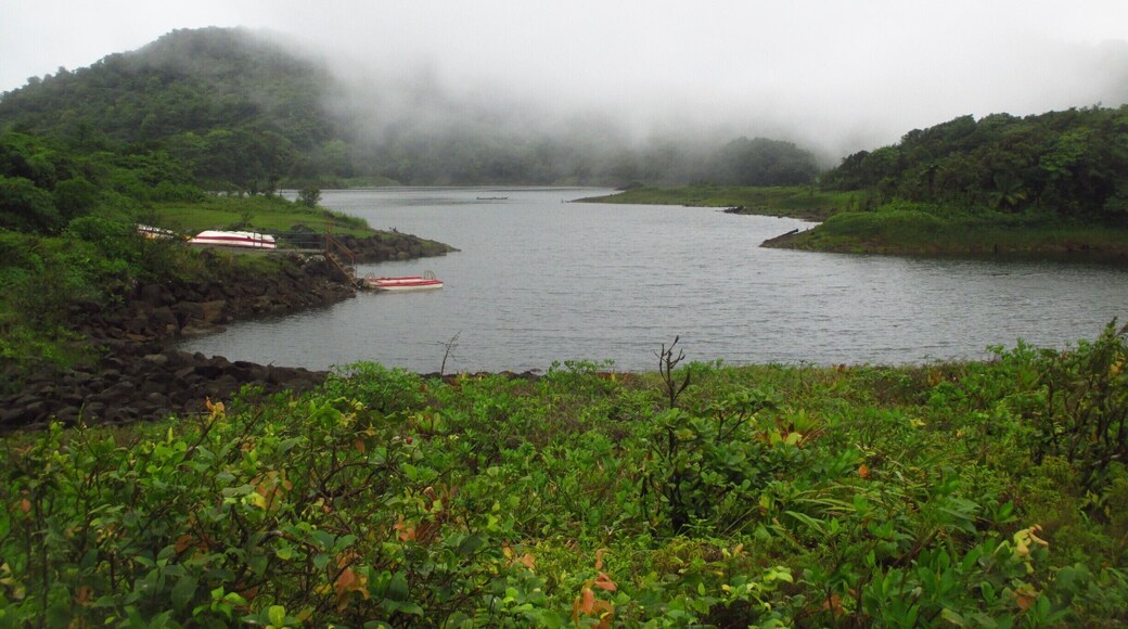 Finally made it, after a long walk, to the Freshwater lake in Dominica! A further one hour walk to go all around the lake, immersed in nature (on a very slippery path). One of the beauties of Nature Island