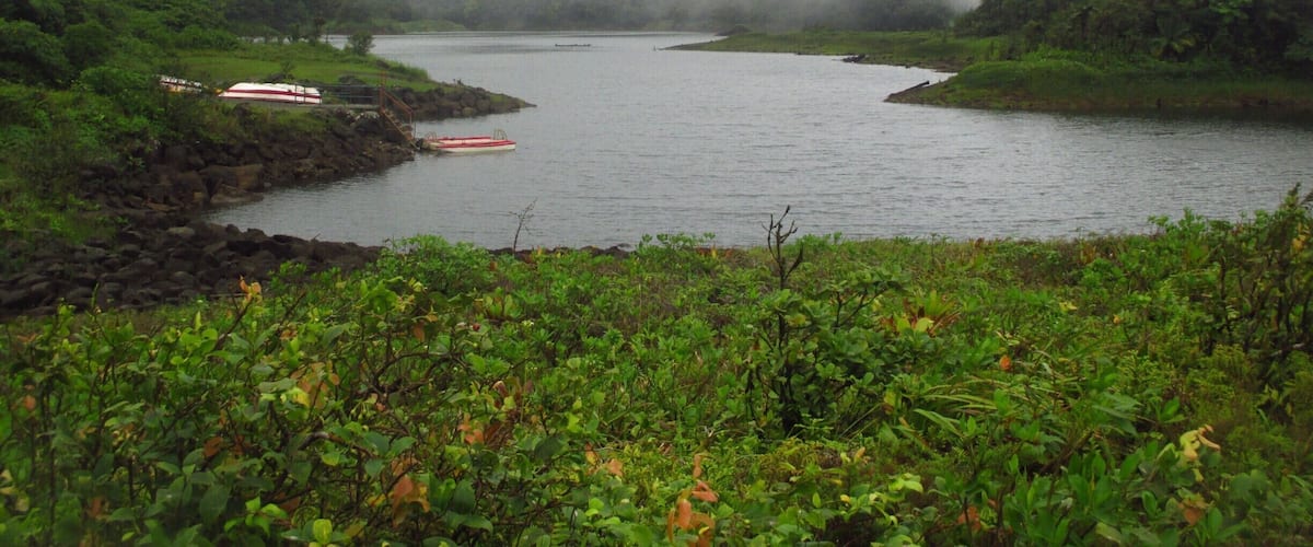 Finally made it, after a long walk, to the Freshwater lake in Dominica! A further one hour walk to go all around the lake, immersed in nature (on a very slippery path). One of the beauties of Nature Island