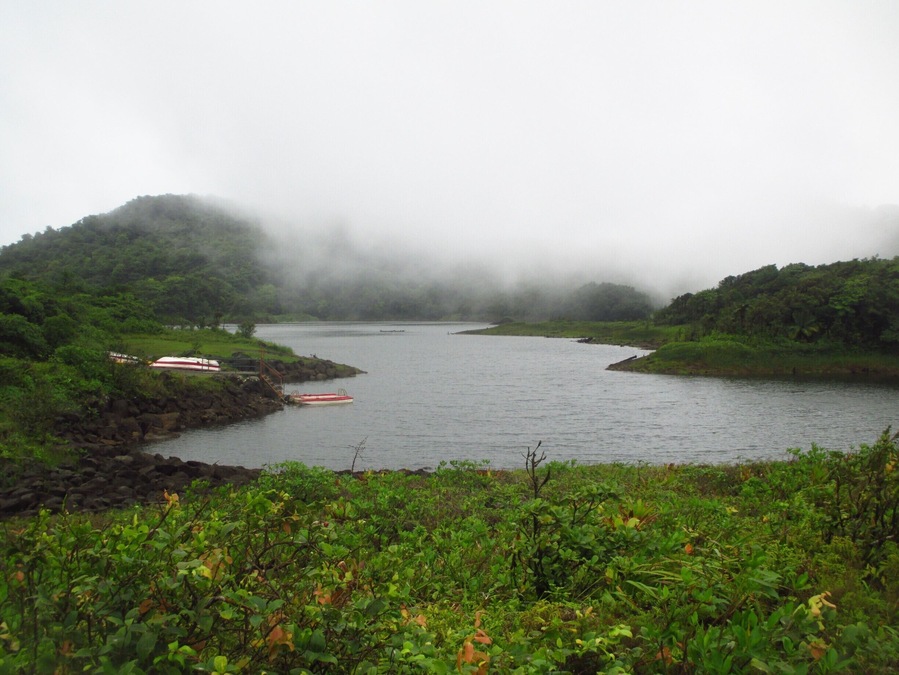 Finally made it, after a long walk, to the Freshwater lake in Dominica! A further one hour walk to go all around the lake, immersed in nature (on a very slippery path). One of the beauties of Nature Island