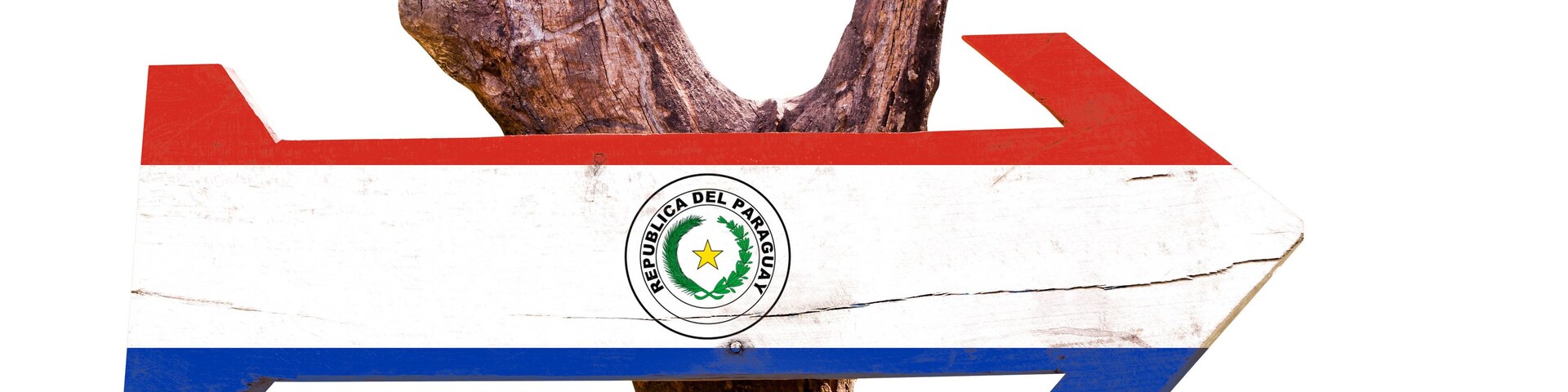 Uma placa de madeira com design de bandeira, apresentando um esquema de cores vermelho, branco e azul com um emblema central.